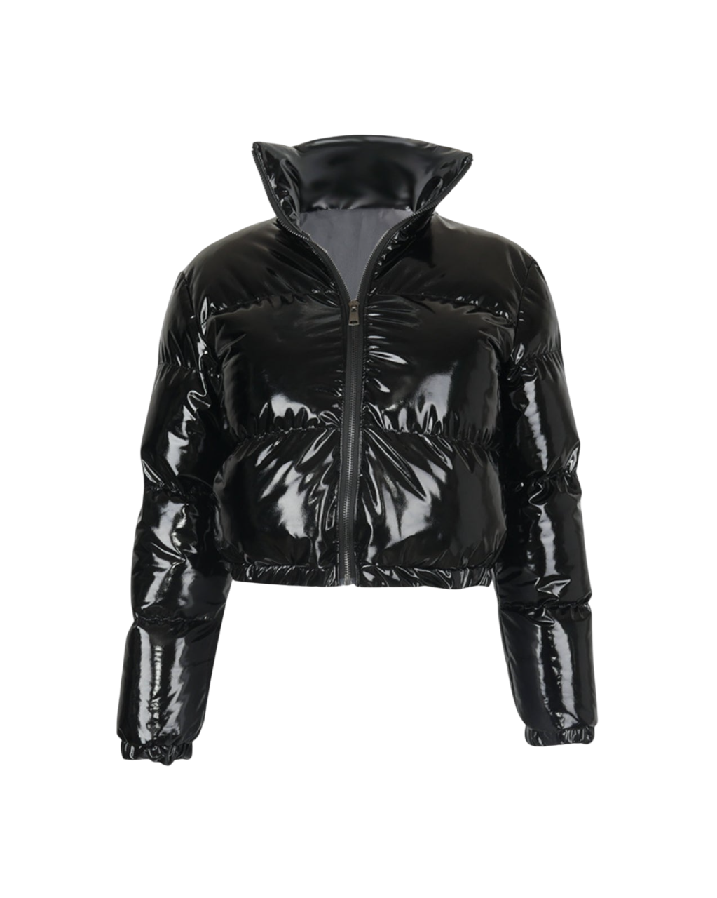 Cropped Shiny Puffer