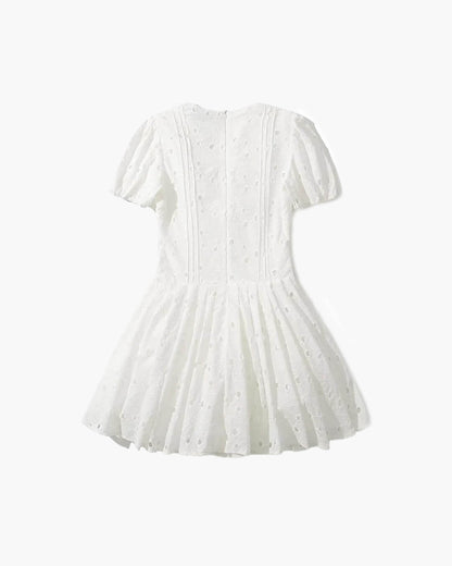 Lorena Puff Sleeve Embroidered Mini Dress